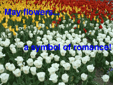 May flowers... a symbol of romance